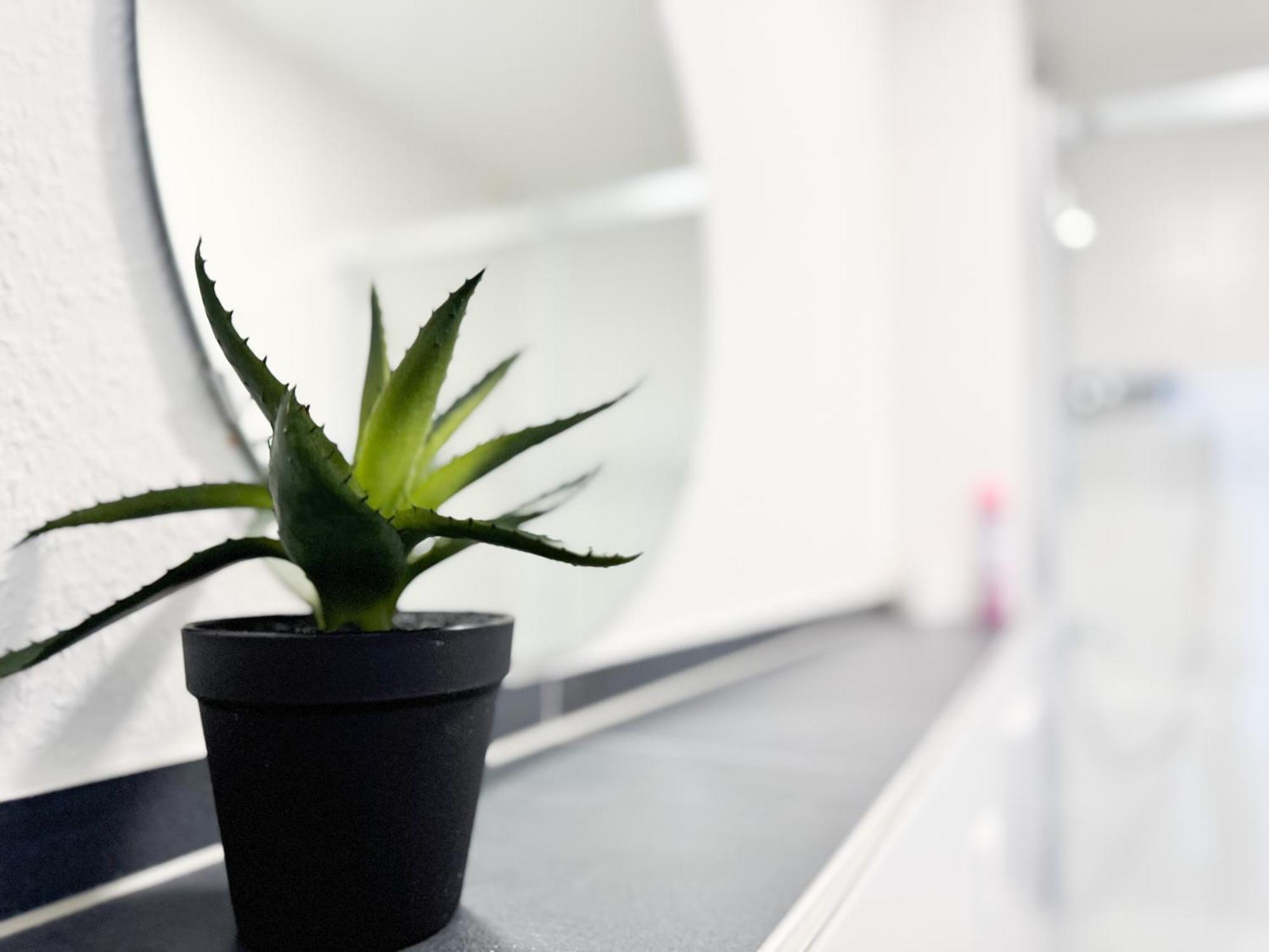 Modern Living Studios Karlsbad Buitenkant foto